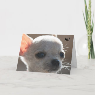 HI! HOLIDAY CARD