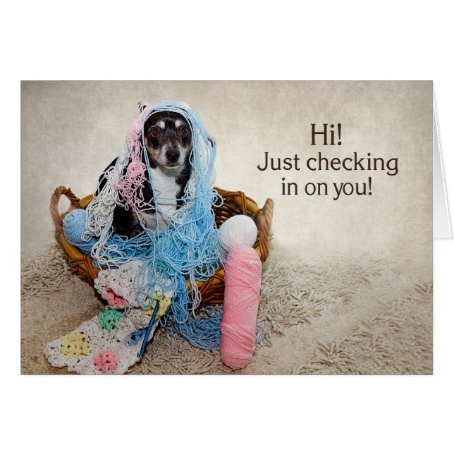 HI! - HUMOR - DOG TANGLED IN YARN (Front Horizontal)