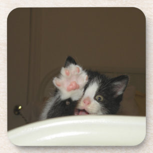 "Hi Kitten!" coasters