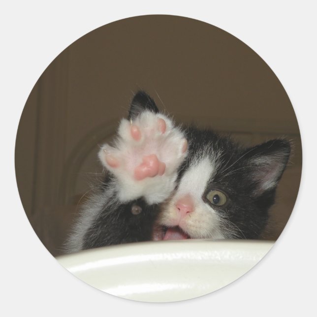 "Hi" Kitten stickers (Front)
