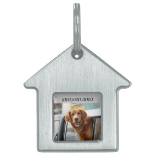 Hi pet ID tag