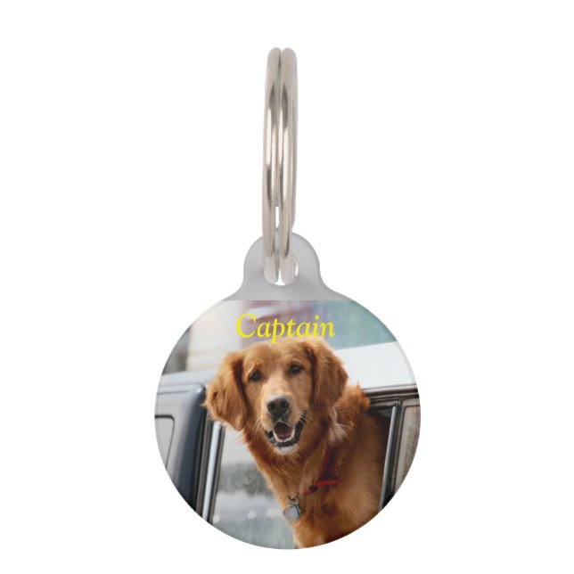 Hi  pet tag (Front)