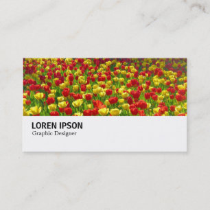 Hi-Phi - 0187 - Sea of Tulips Business Card