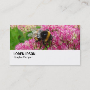 Hi-Phi - 0246 - Bumble Bee on Sedum Business Card