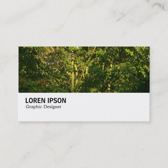 Hi-Phi - 0268 - Japanese Branches 05 Business Card (Front)