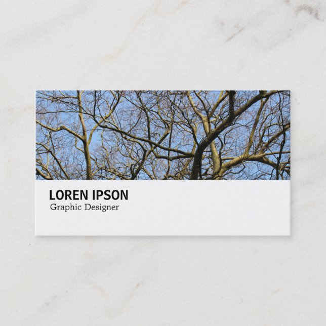 Hi-Phi - 0277 - Branches Business Card (Front)