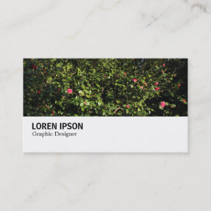 Hi-Phi - 0286 - Camellia Bush Business Card