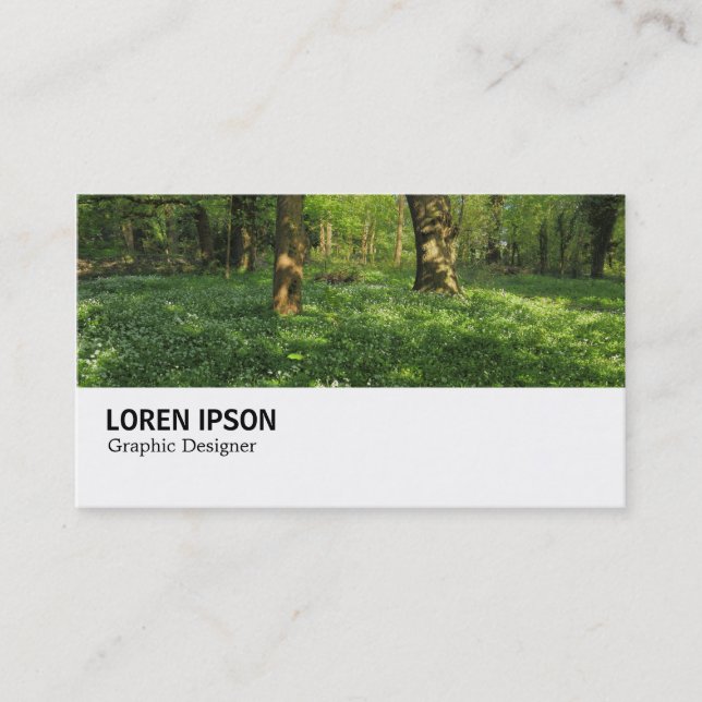 Hi-Phi - 0347 - Spring in the Woods Business Card (Front)