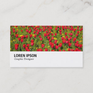 Hi-Phi - 036 - Red Tulips Business Card