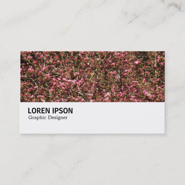Hi-Phi - 0376 - Pink Cherry Blossoms Business Card (Front)
