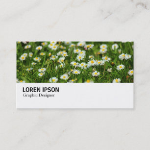 Hi-Phi - 0388 - Daisy Meadow Business Card