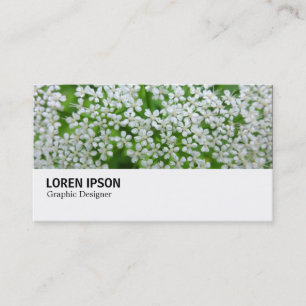 Hi-Phi - 078 - Cow Parsley Business Card