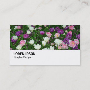 Hi-Phi - 086 - Colourful Tulips Business Card