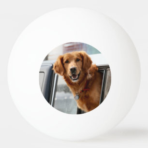 Hi Ping pong ball