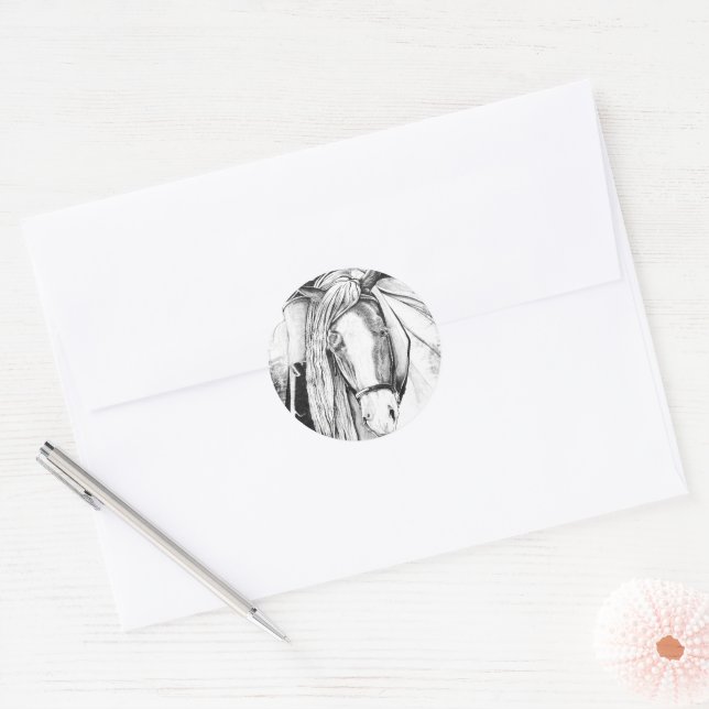 Hi-Point (close-up) Classic Round Sticker (Envelope)