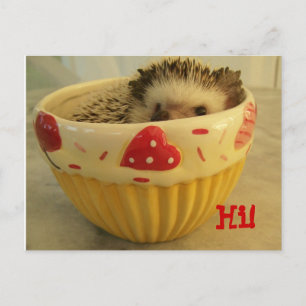 Hi ! postcard