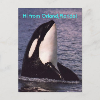 Hi Postcard