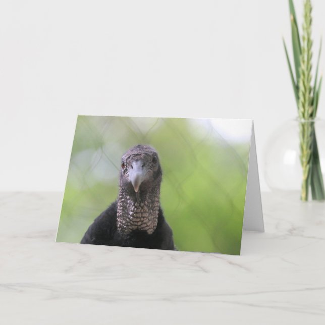 Hi there card (Front)