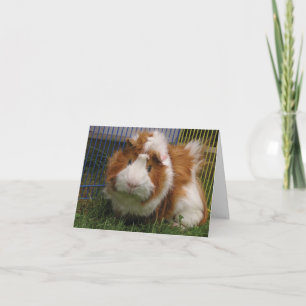 Hi there! (Jester) Card