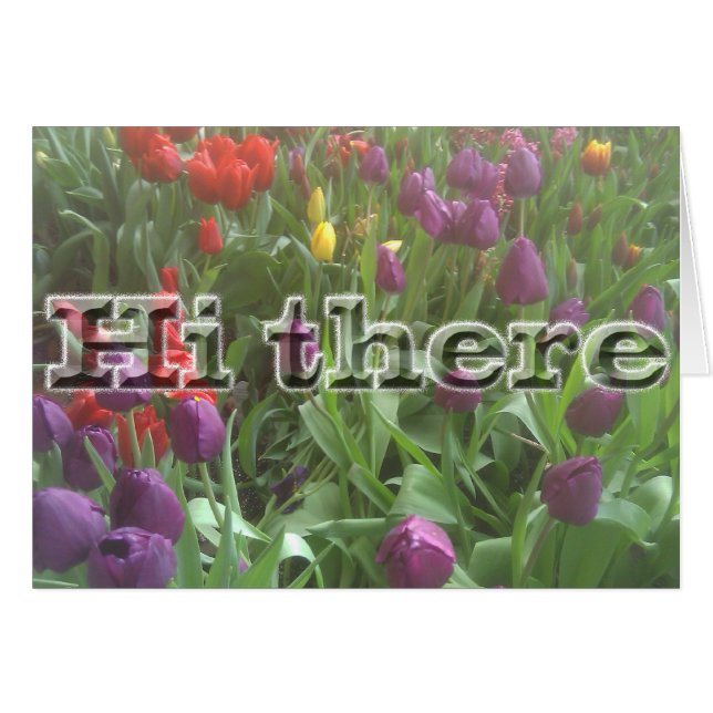 Hi there Spring (Front Horizontal)