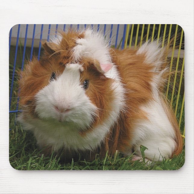 Hi there! (The Mousepad) Mouse Pad (Front)