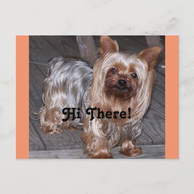 Hi There Yorkshire Terrier Postcard (Front)