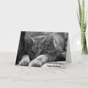 Hi! This cat is coming to wish a Happy Birthday! Card