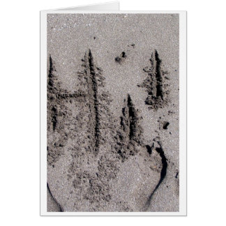 Hi! Written in Florida beach sand with footprints