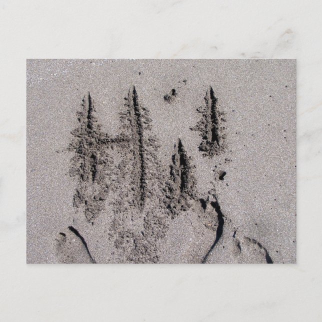 Hi! Written in Florida beach sand with footprints Postcard (Front)