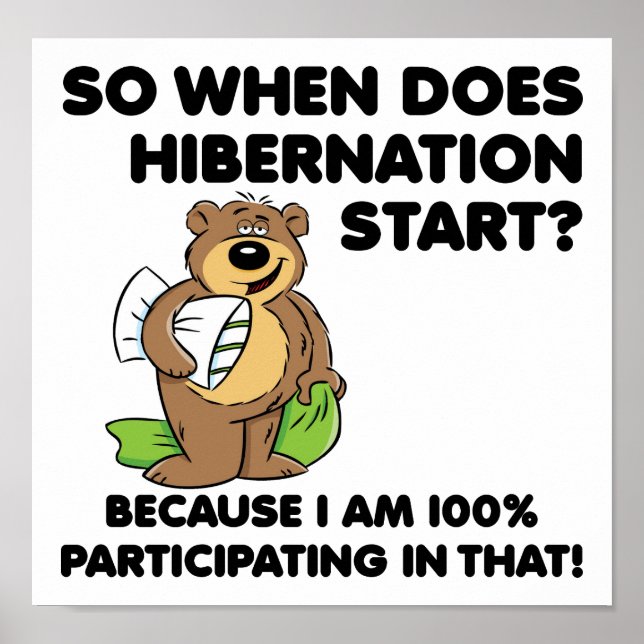 Hibernation Funny Poster (Front)