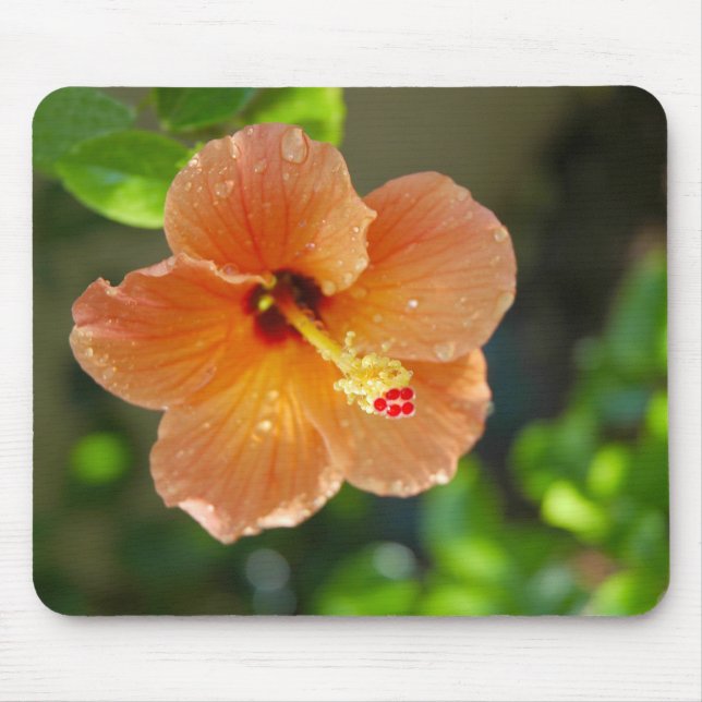 Hibiscis Flower Mousepad (Front)