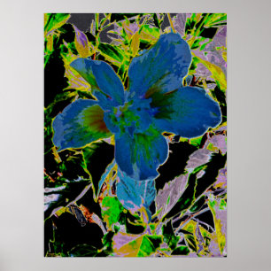 Hibiscus 2635a Abstract Art Poster