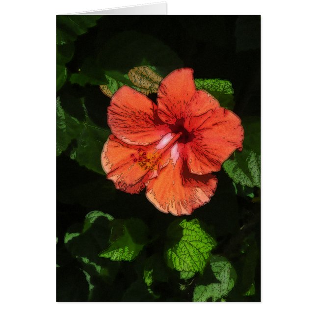 Hibiscus 424 card (Front)