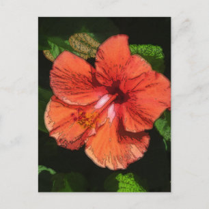 Hibiscus 424 postcard
