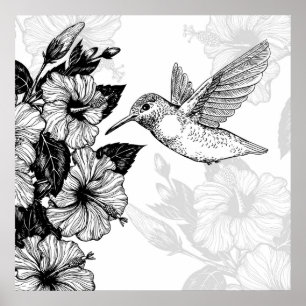 Hibiscus and hummingbird poster
