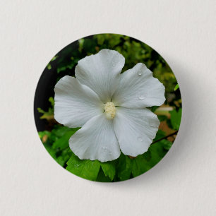 Hibiscus Badge