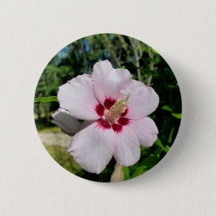 Hibiscus Badge