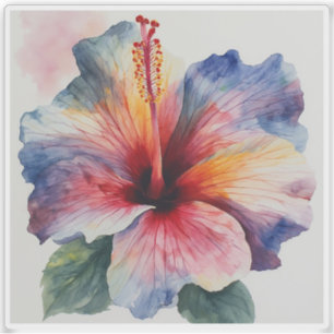 Hibiscus Bloom