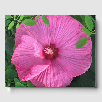 Hibiscus Bloom Guest Book