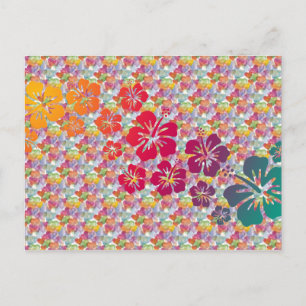 hibiscus blooms coloured   heart pattern postcard