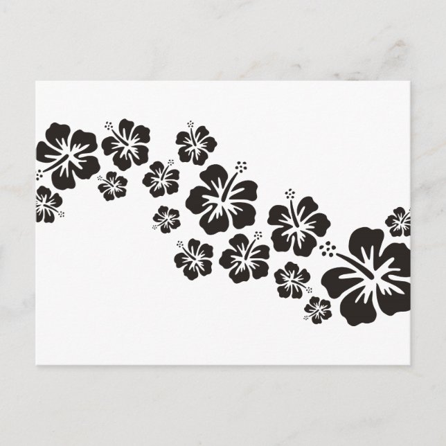 hibiscus blooms in black postcard (Front)