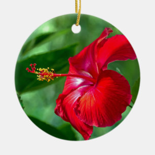 Hibiscus Blossom Ceramic Tree Decoration