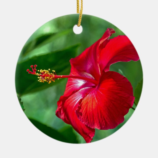 Hibiscus Blossom Ceramic Tree Decoration (Front)