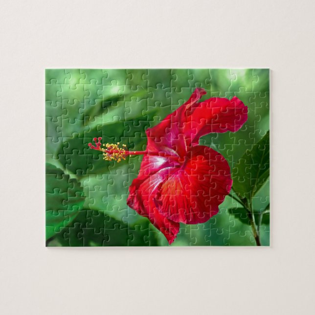 Hibiscus Blossom Jigsaw Puzzle (Horizontal)