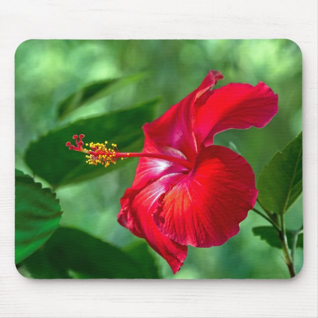 Hibiscus Blossom Mouse Pad (Front)