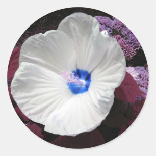 Hibiscus Blue Sticker- Customisable Classic Round Sticker