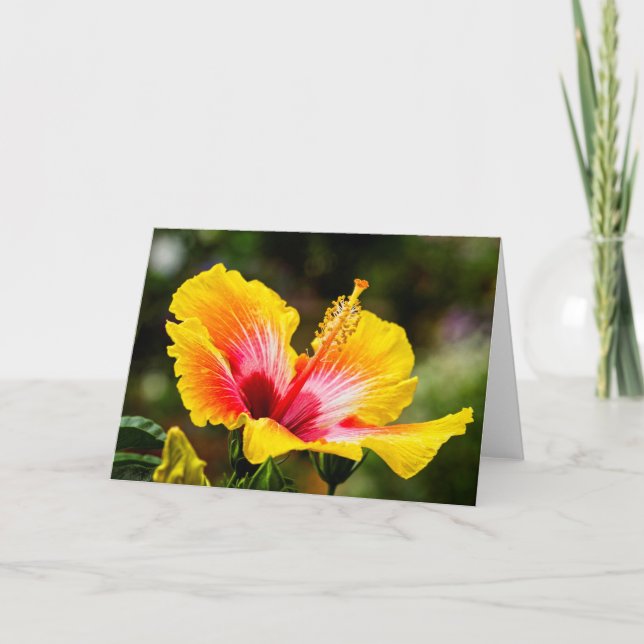 Hibiscus Bright Yellow with Red Heart Card (Front)