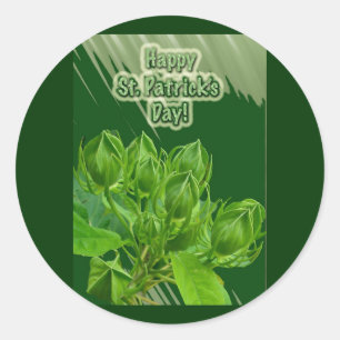 Hibiscus Buds Happy St Patrick's Day Stickers