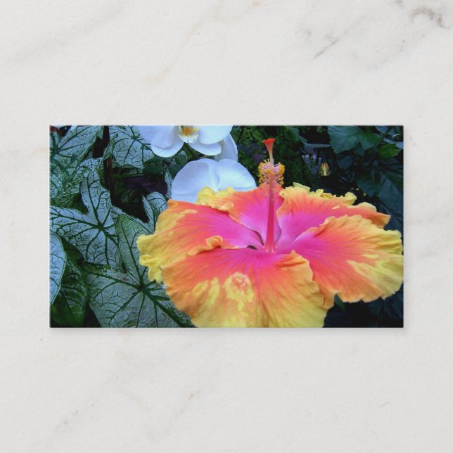 hibiscus business card (Front)