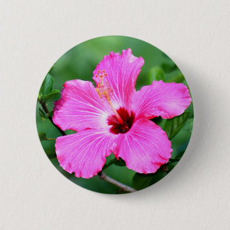Hibiscus Button